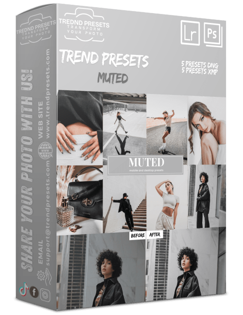 Muted Presets